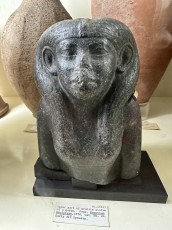 The Petrie Museum of Egyptian Archaeology