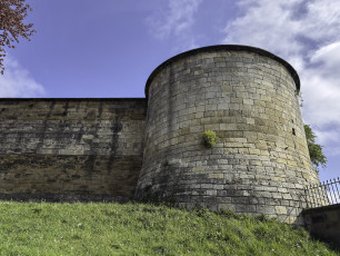 York
