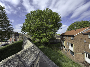 York